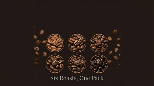 Why Buy a Coffee Sample Pack Online